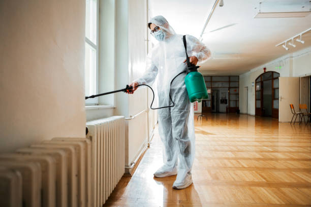 Best Residential Pest Control  in Beechwood, MI